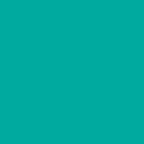 Aqua 24” EasyPSV Starling Permanent Vinyl